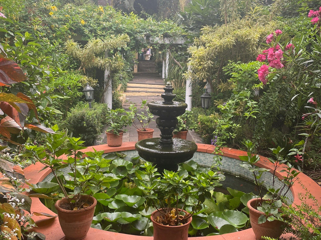 Jardin de Orquideas de Sitio Litre-德拉克鲁兹索尔港必去景点
