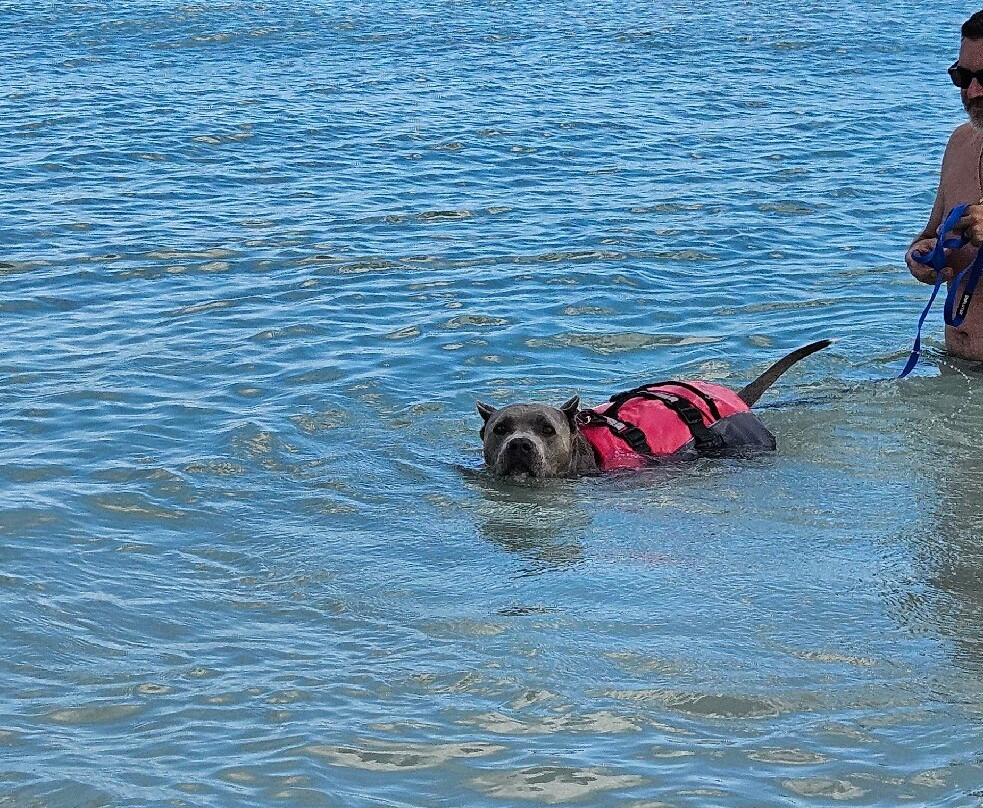 Baia Canaria-塞尼加利亚必去景点