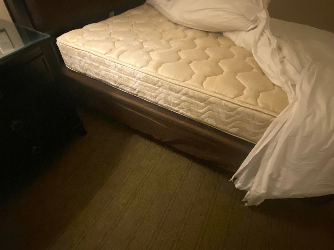 萨尔瓦多花园广场酒店-阿斯顿连锁酒店主图