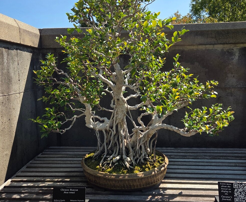 The North Carolina Arboretum-阿什维尔必去景点