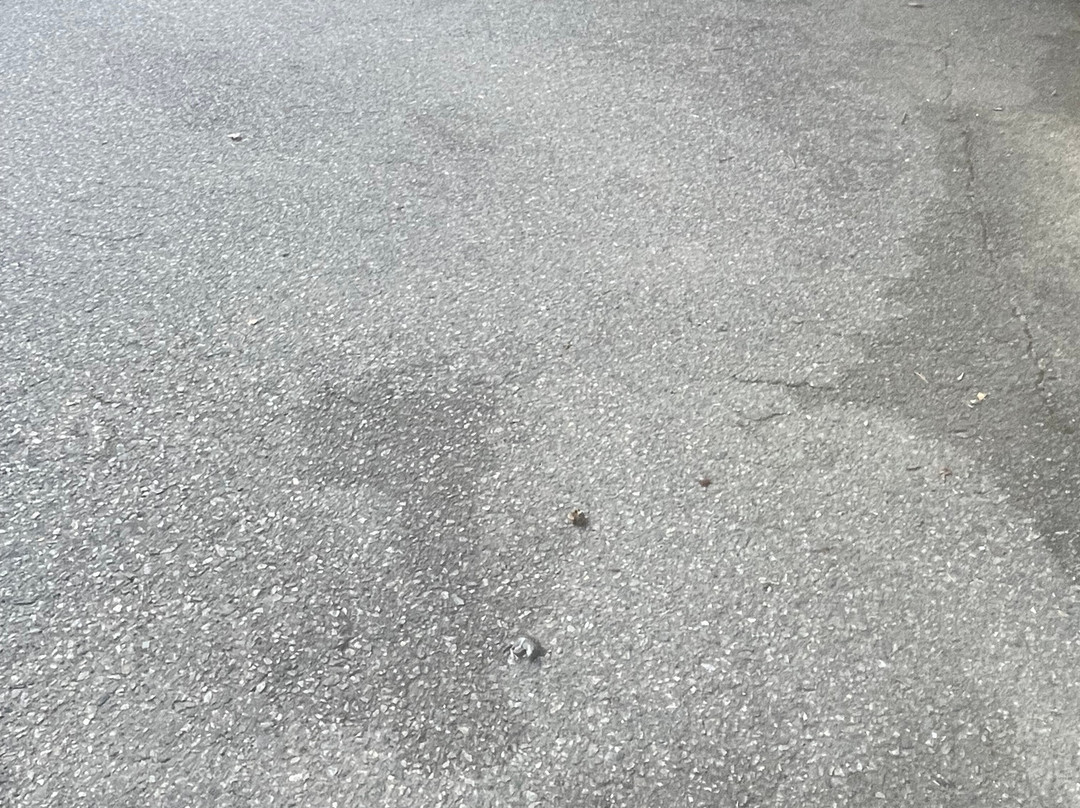 The Chatham Motel主图