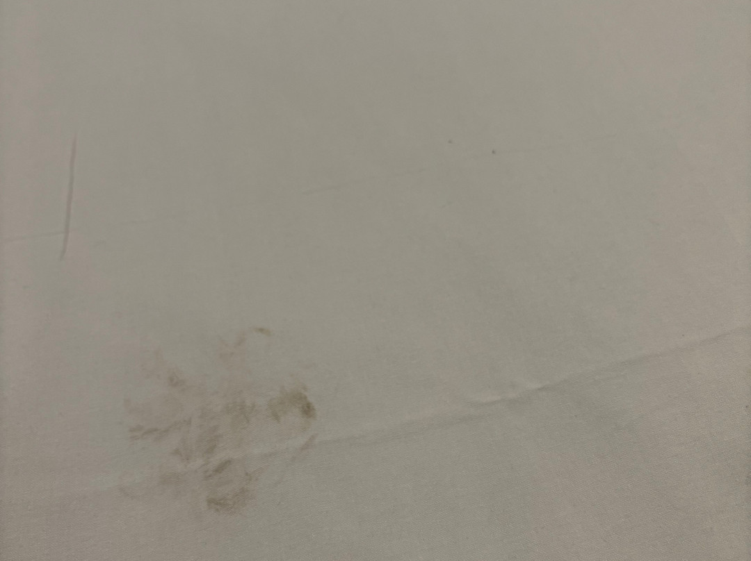 Travelodge Newbury London Road主图