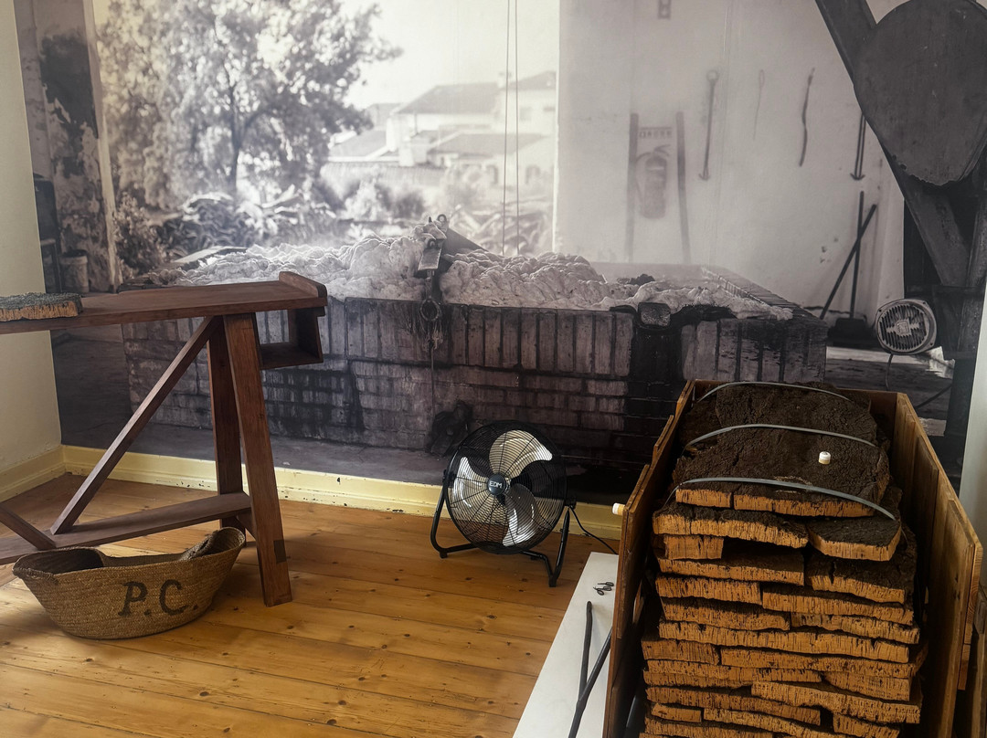 Casa do Montado-埃武拉必去景点