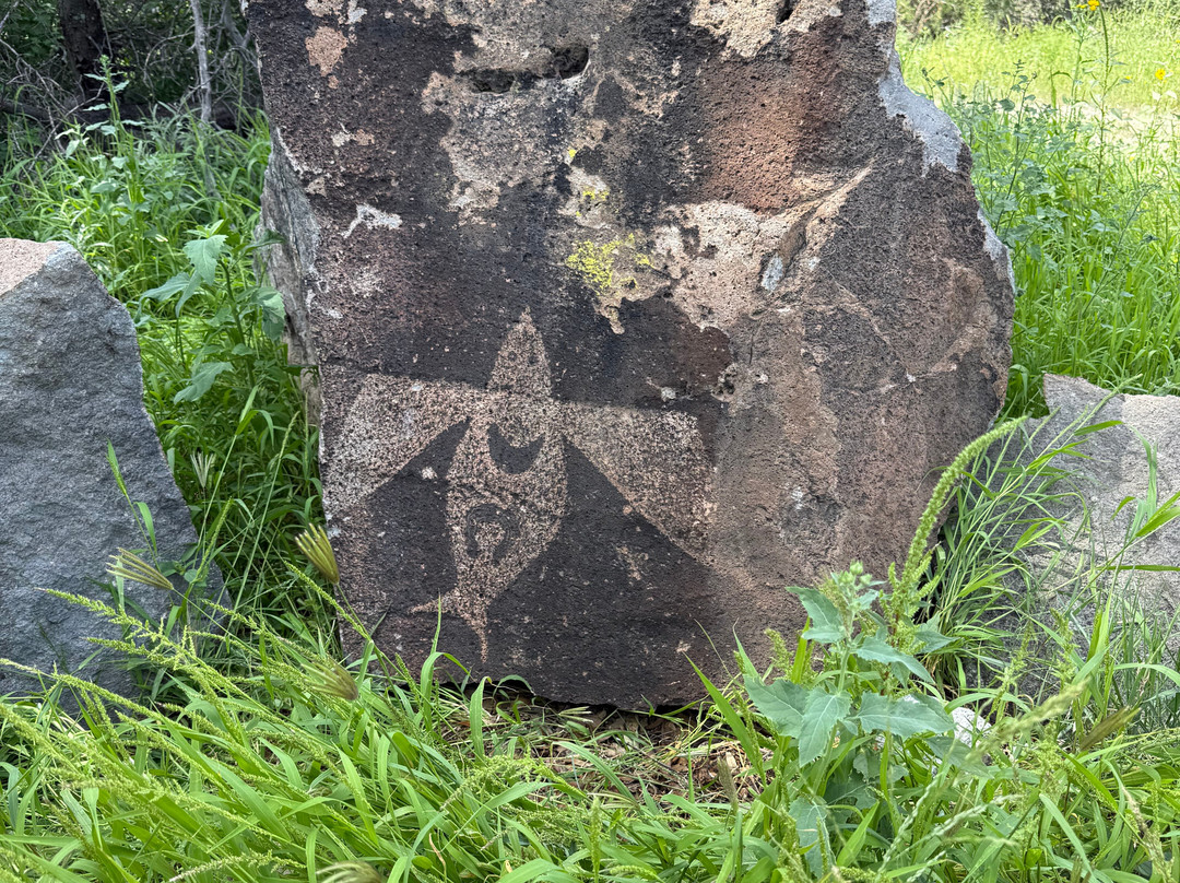 Ted Turner Reserves - Ladder Ranch-Caballo必去景点