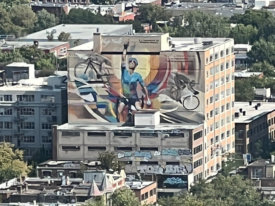 Native Tours-蒙特利尔必去景点