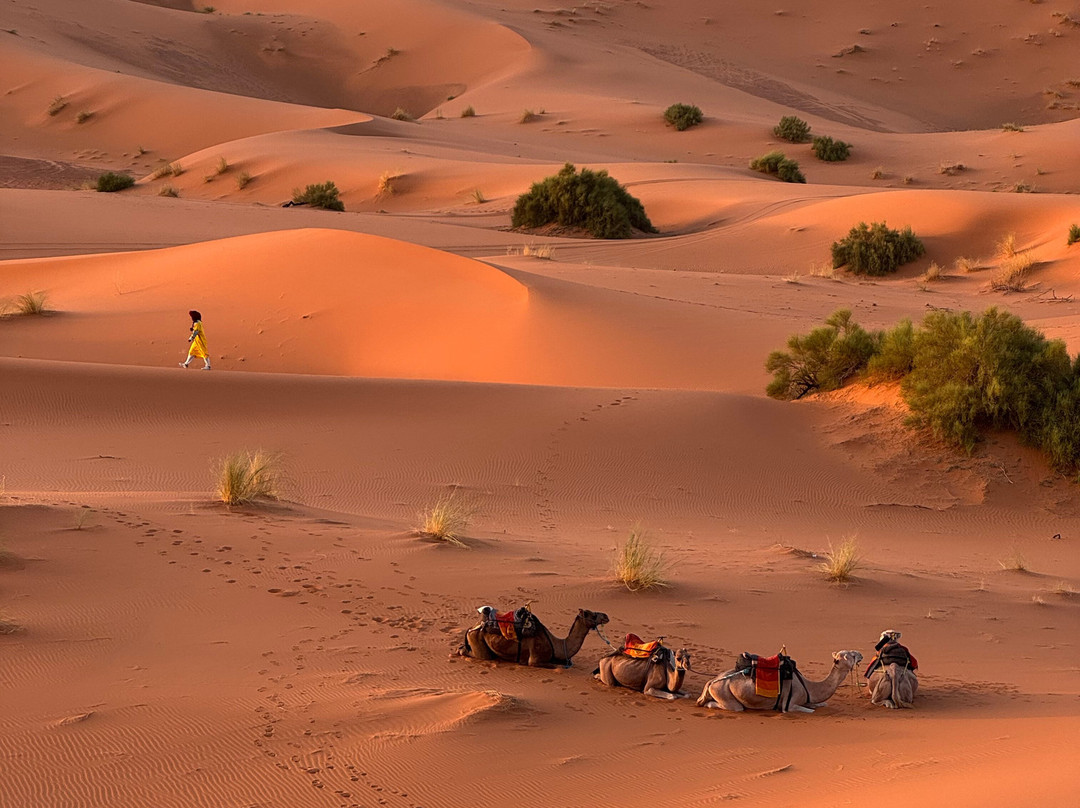 Morocco Everywhere Tours-非斯必去景点