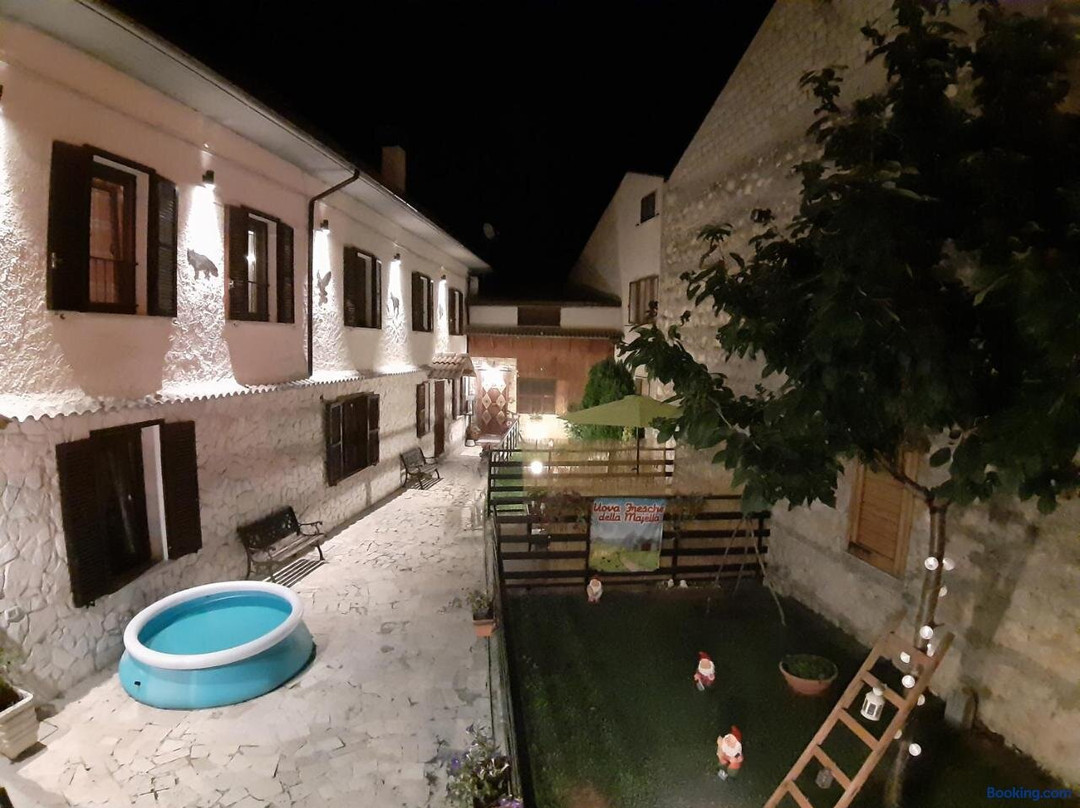 Il Vecchio Lupo主图