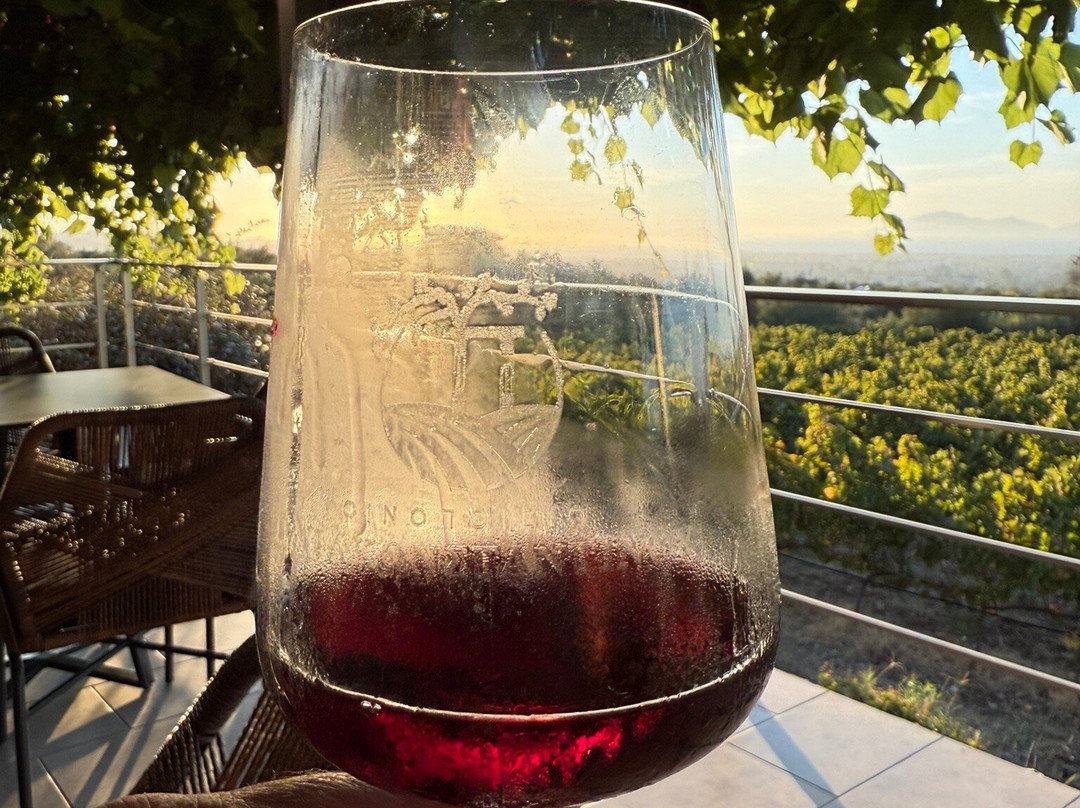 Papakonstantinou Winery-Pili必去景点