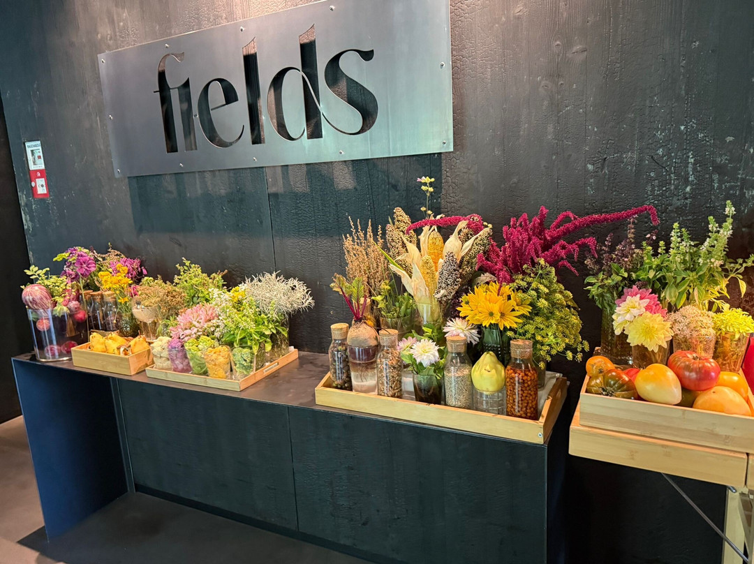 杜帕克酒店主图