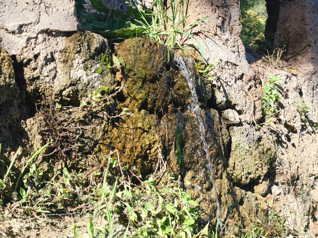 Civica-Brihuega必去景点