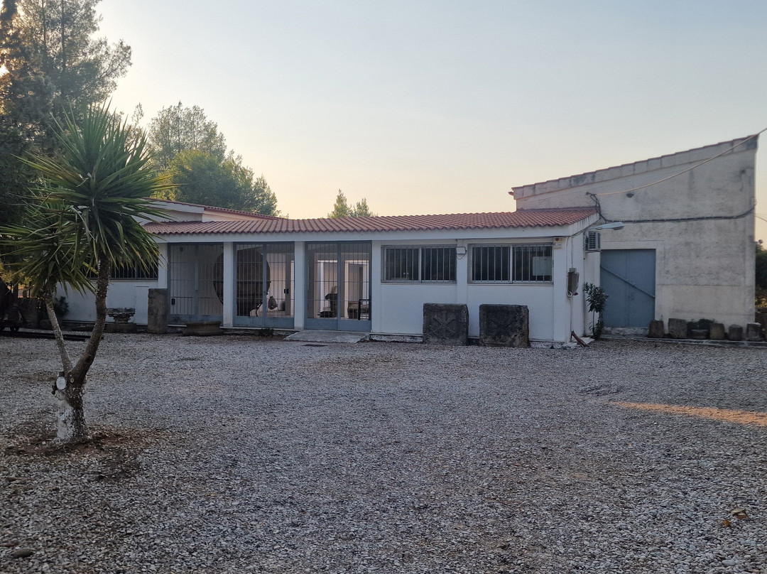 Archaeological Museum of Ancient Elis-Archea Ilida必去景点