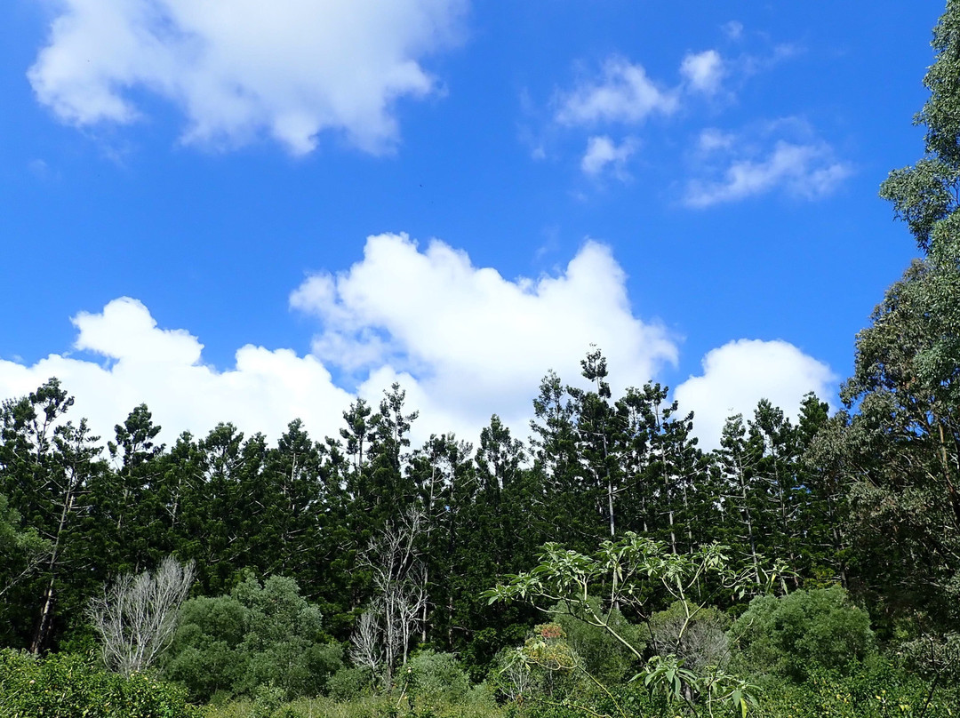 Out There Cycling-Blackbutt必去景点