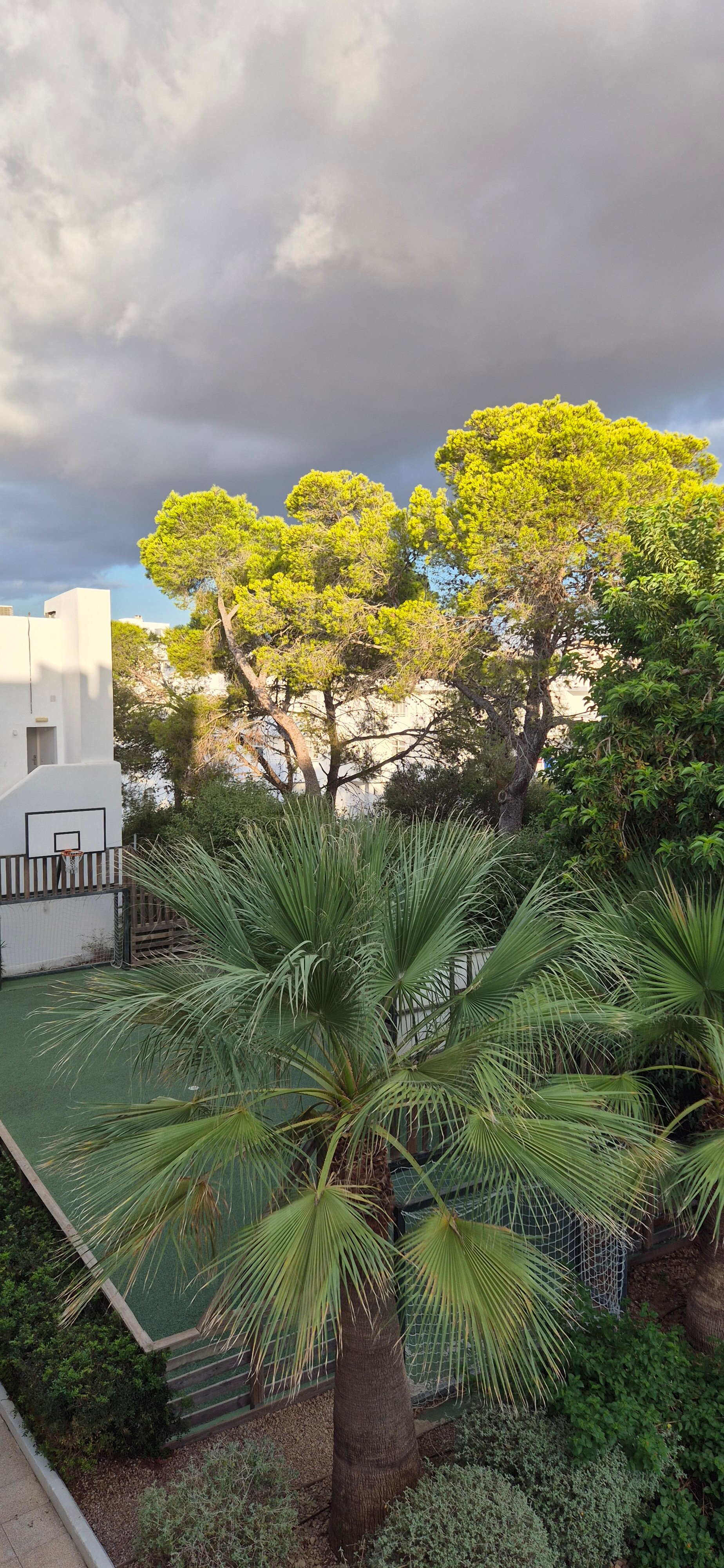 Prinsotel Alba-酒店景观