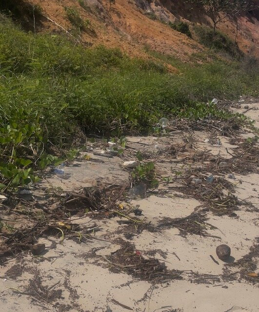 Praia do Carro Quebrado-Barra de Santo Antonio必去景点