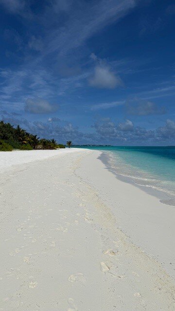 马尔代夫尼亚玛岛度假酒店-泳池