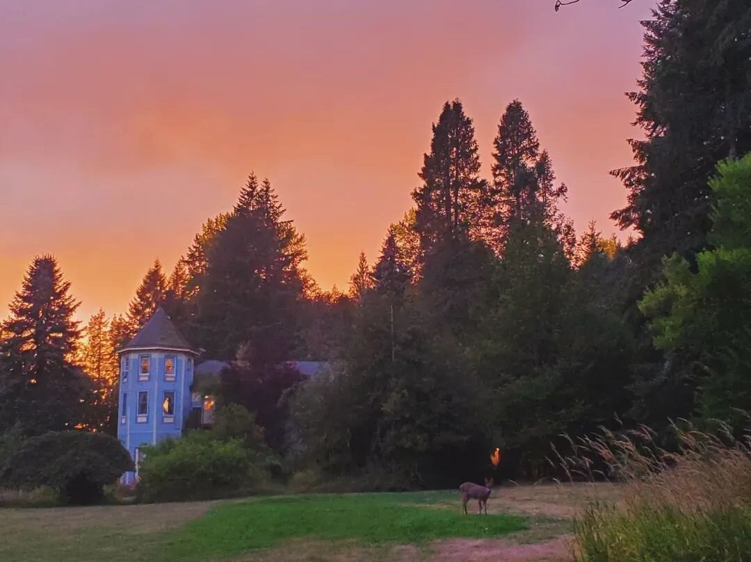 亚力山大的小屋和餐厅主图