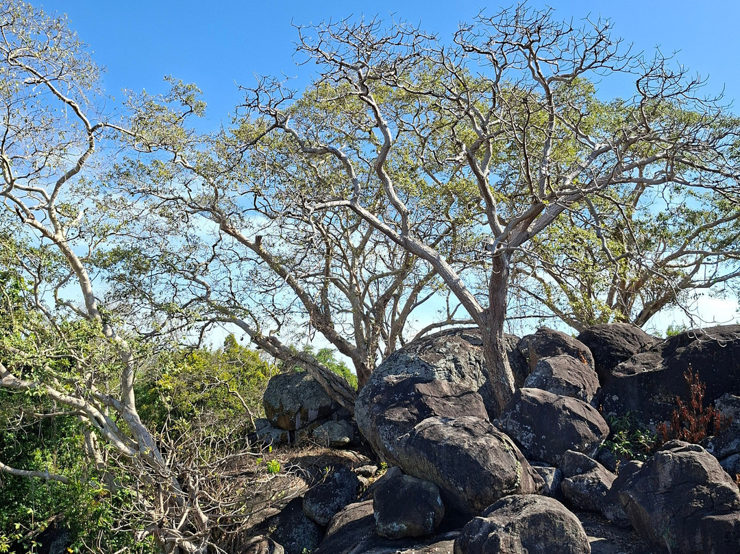 Lahugala Kitulana National Park-Ampara必去景点