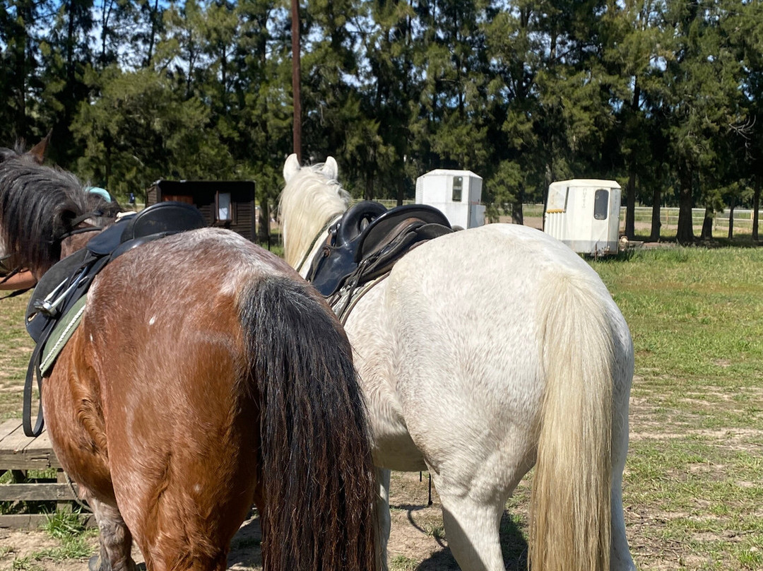 Equine Sport Centre-斯泰伦博斯必去景点