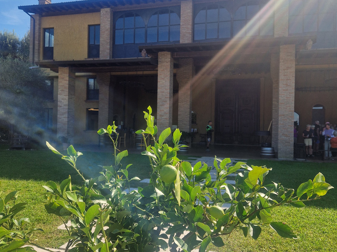 Winery Podere Selva Capuzza-代森扎诺-德尔加达必去景点