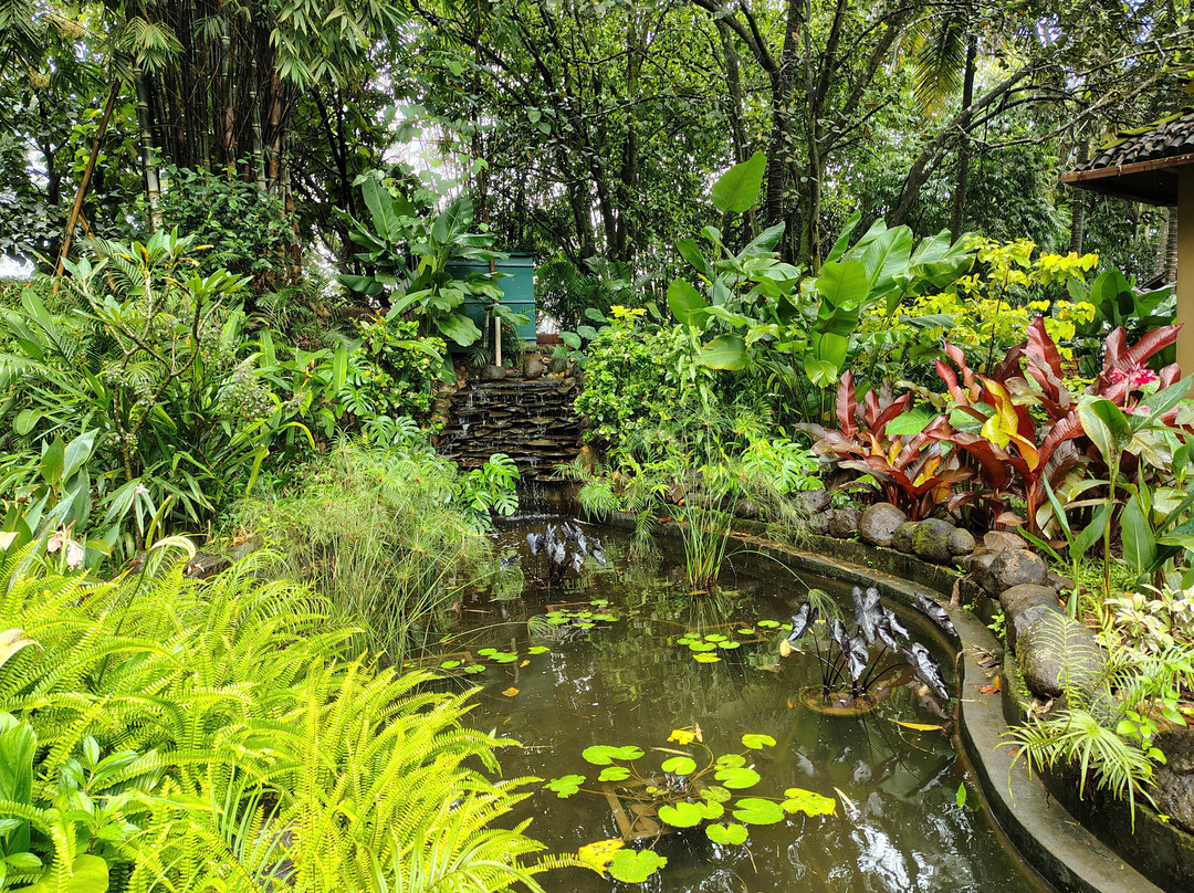 The Orchard Resort主图