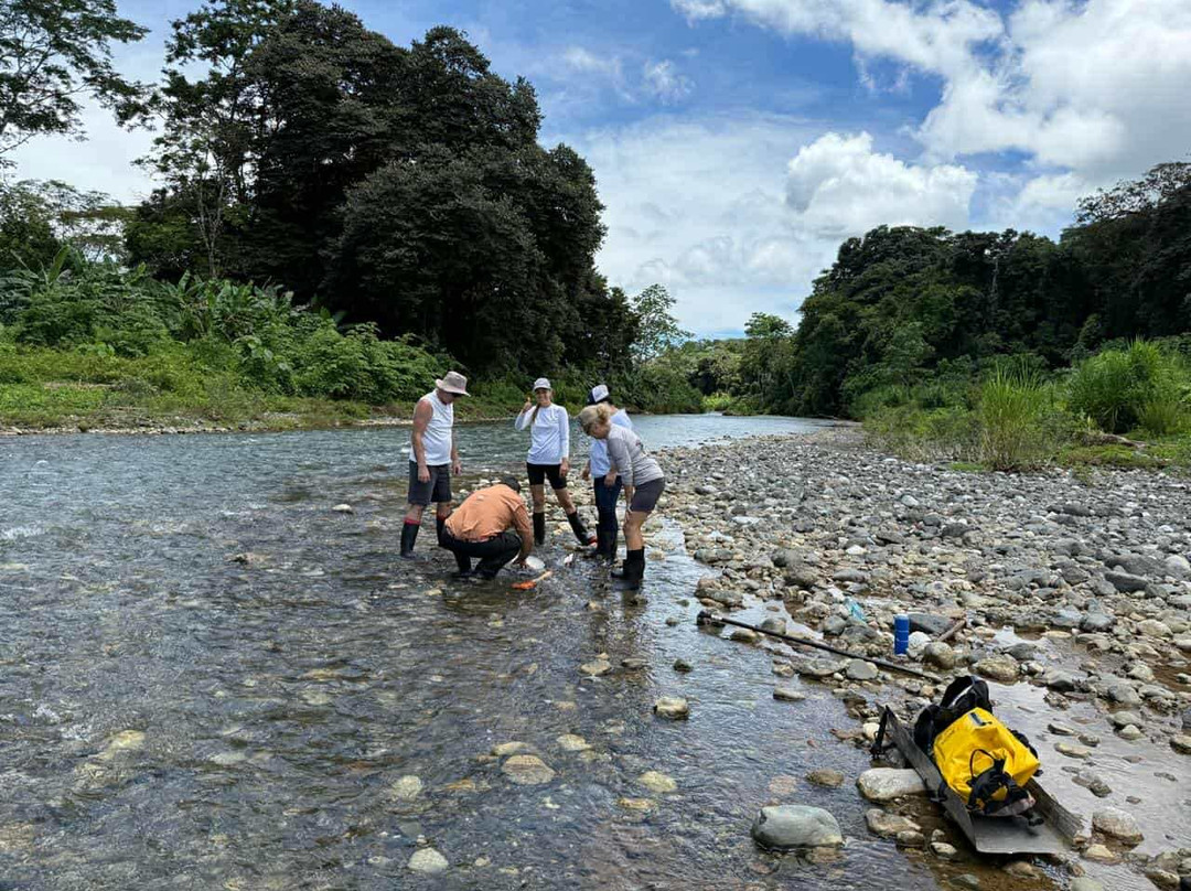 Osa Green Travel-希门尼斯港必去景点