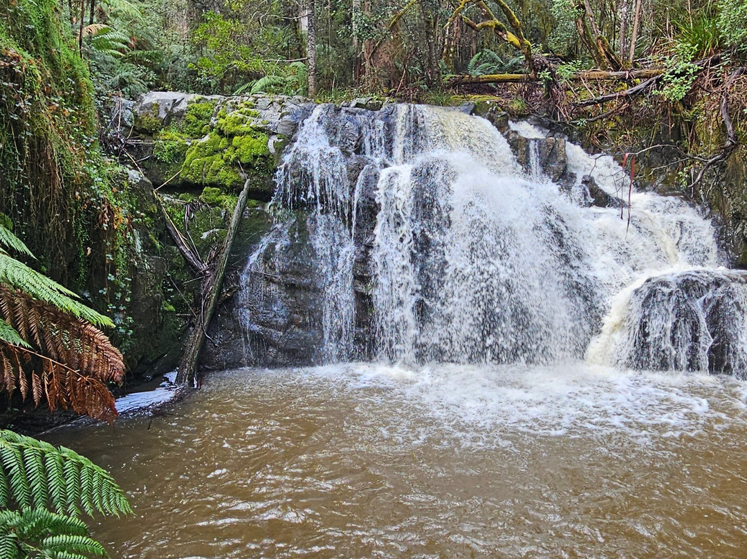 Lilydale Falls-Lilydale必去景点