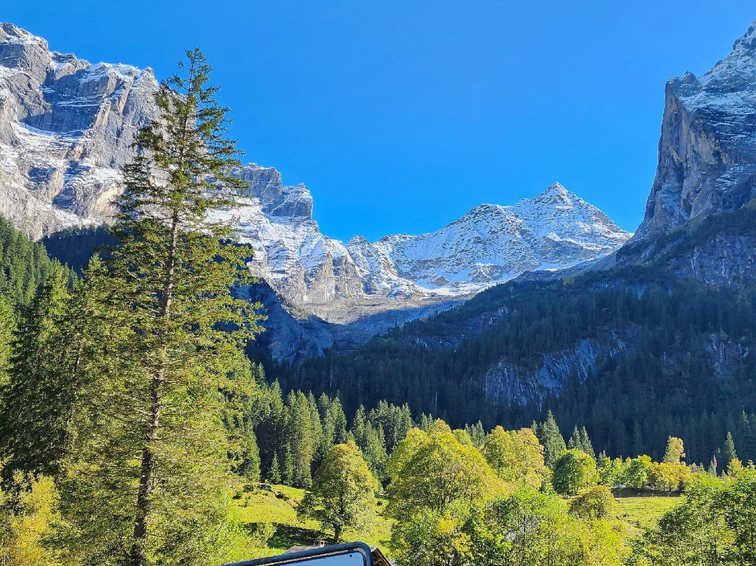 Rosenlaui Hotel主图