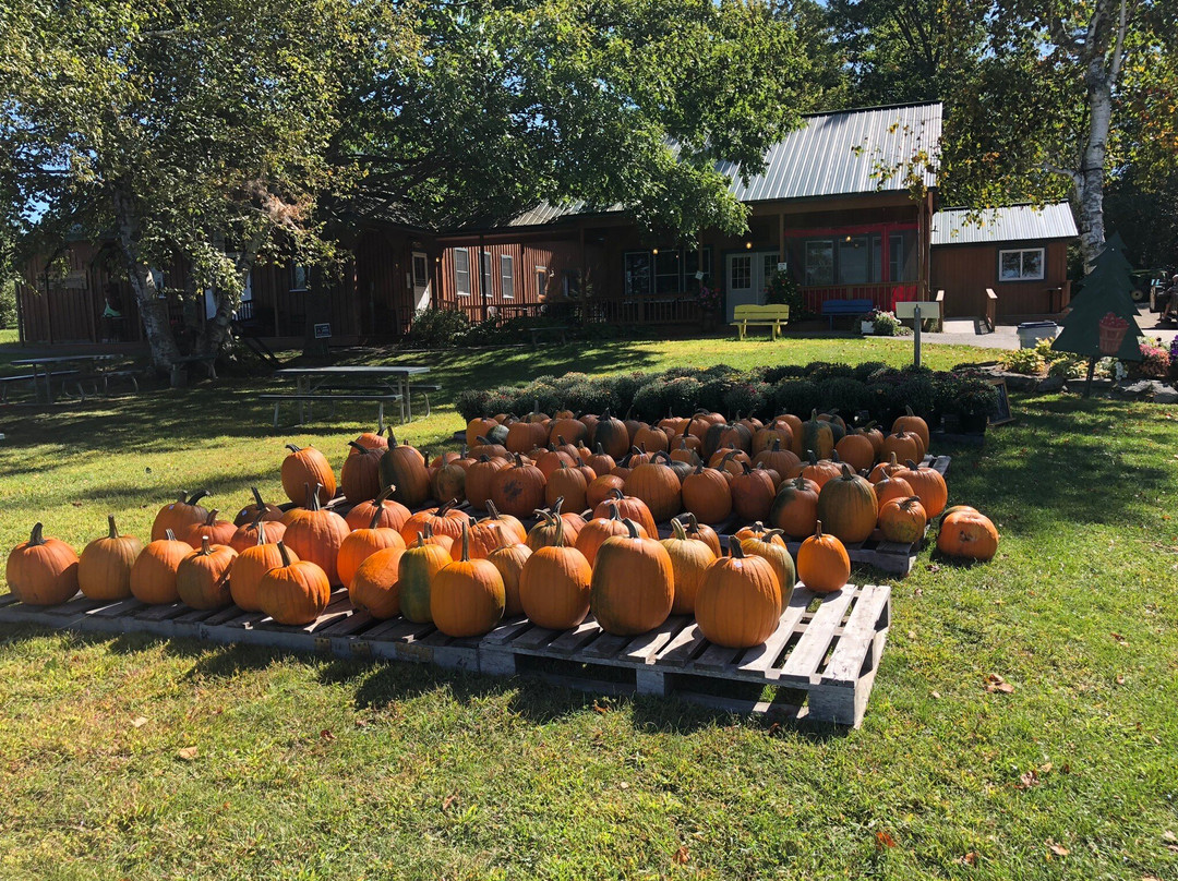 Windy Ridge Orchard & Christmass Tree Farm-Haverhill必去景点