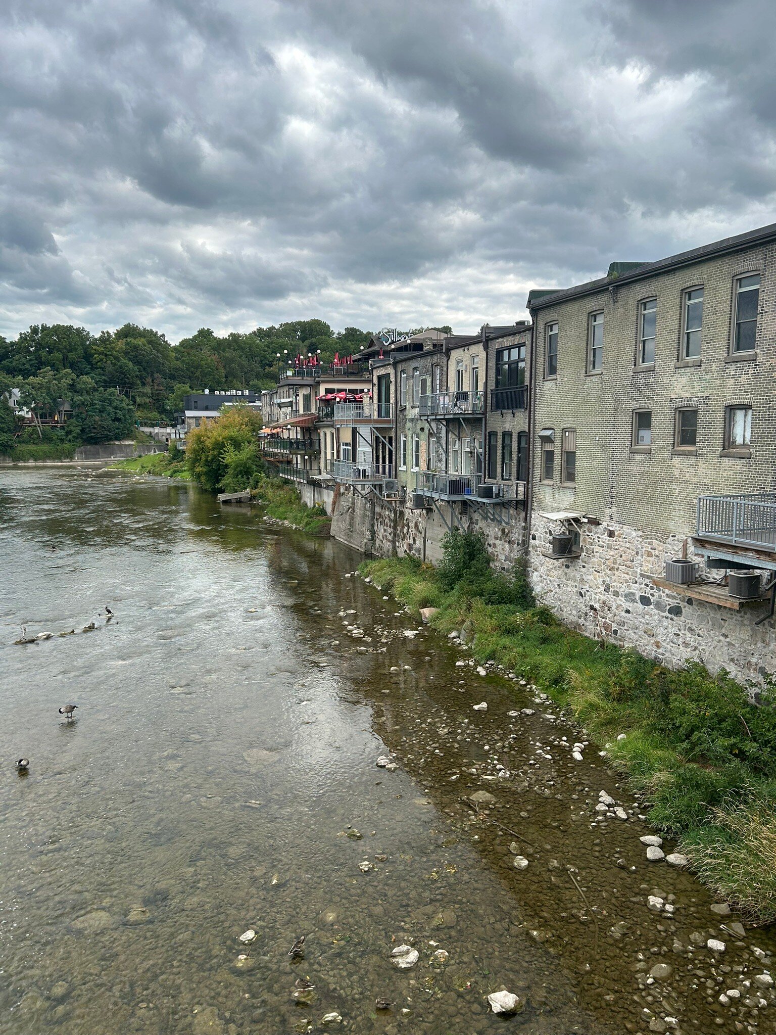 Arlington Hotel-官方