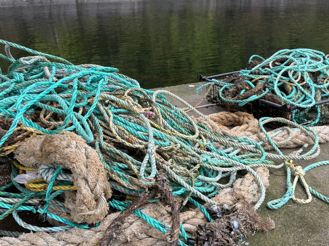 Hump Island Oyster & Kelp Farm with Tasting-凯奇坎必去景点