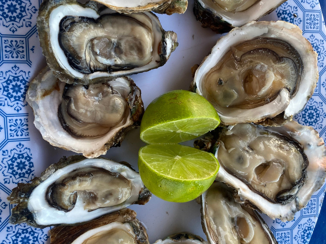 Rogerio Bugueiro-Fortim必去景点