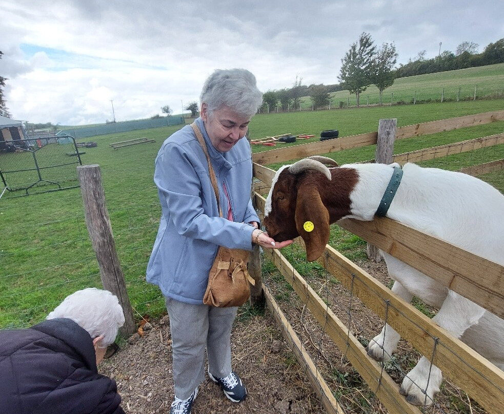 Lower Bush Alpacas-Cuxton必去景点