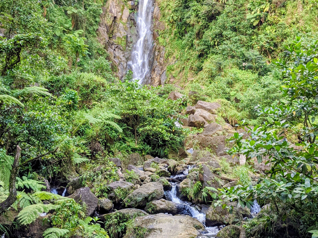 Waitukubuli Adventure Tour Co.-罗索必去景点