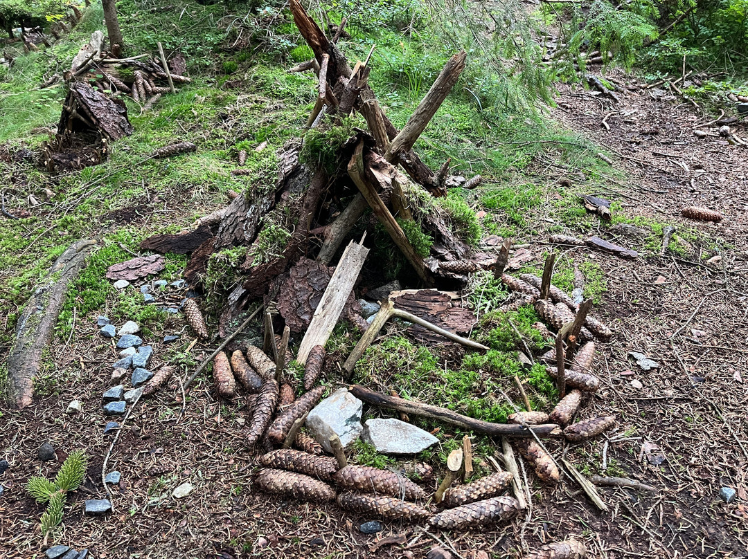 The nature trail. Rejvíz - Mechová jezírka-Zlate Hory必去景点