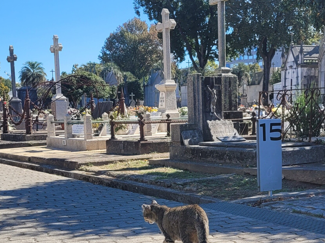 Cemitério de Agramonte-波尔图必去景点