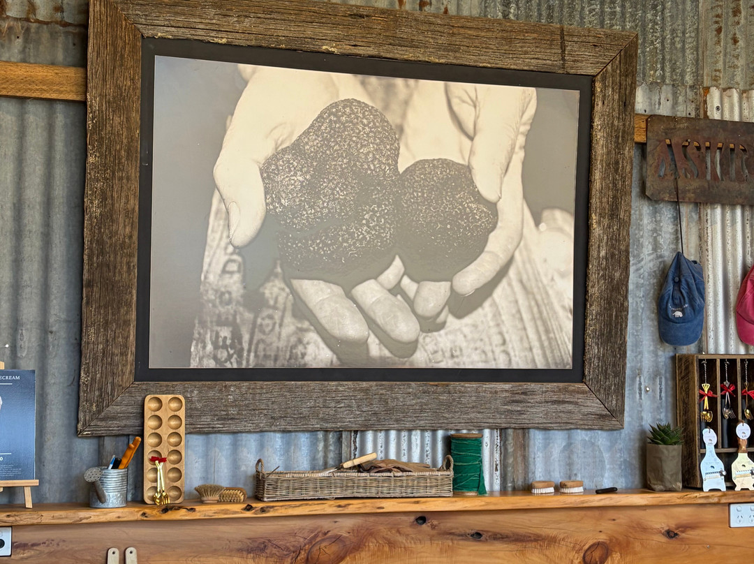 The Truffle Farm Tasmania-德洛兰恩必去景点