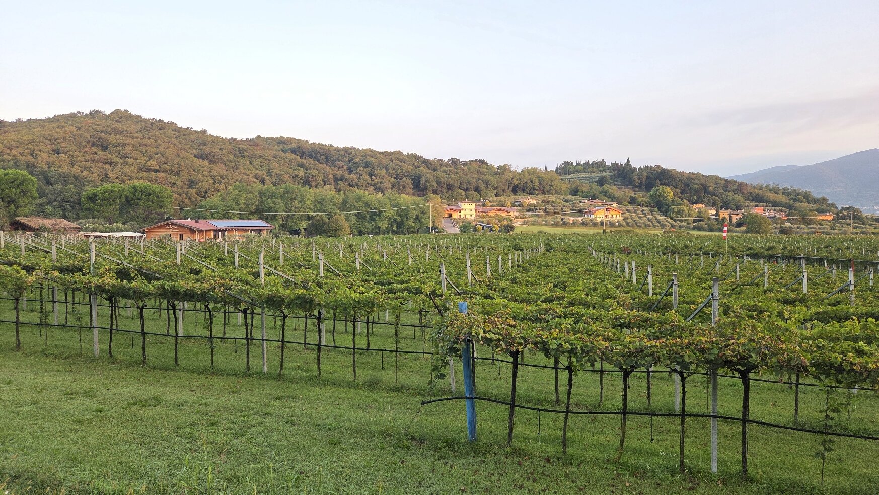 Agriturismo La Pertica-官方