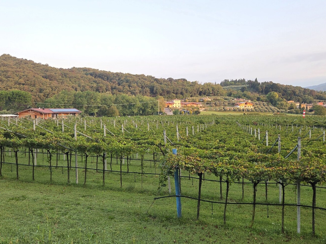 Agriturismo La Pertica主图