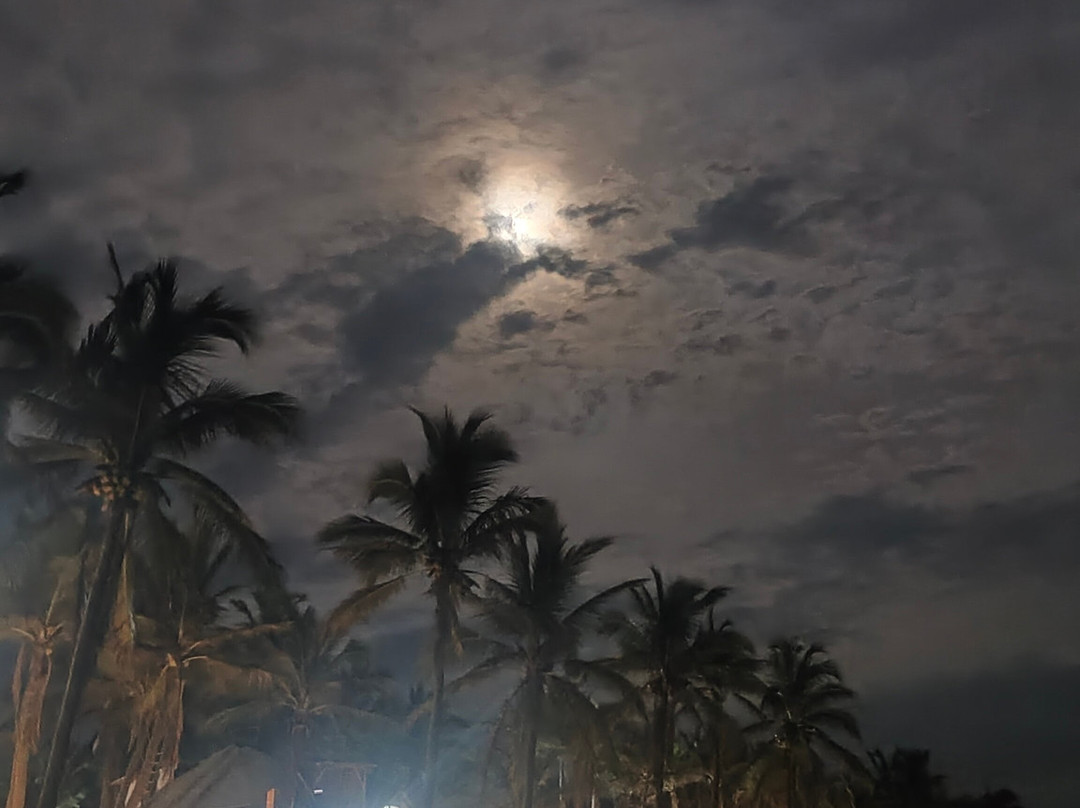 Hotel Villa Polinesia Chamela主图