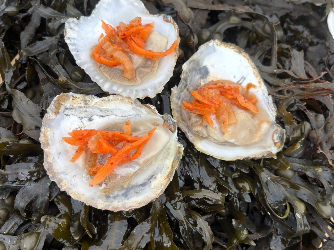 Kelly Oysters-Kilcolgan必去景点