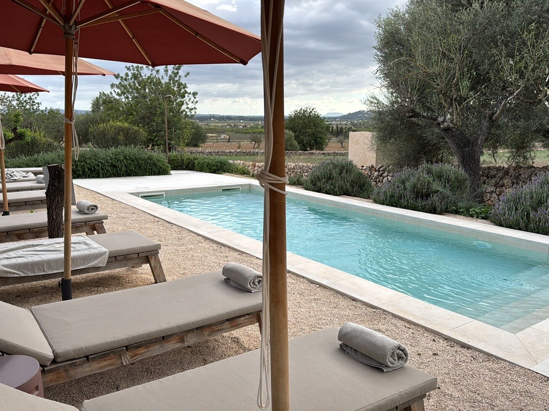 The Lodge Mallorca主图