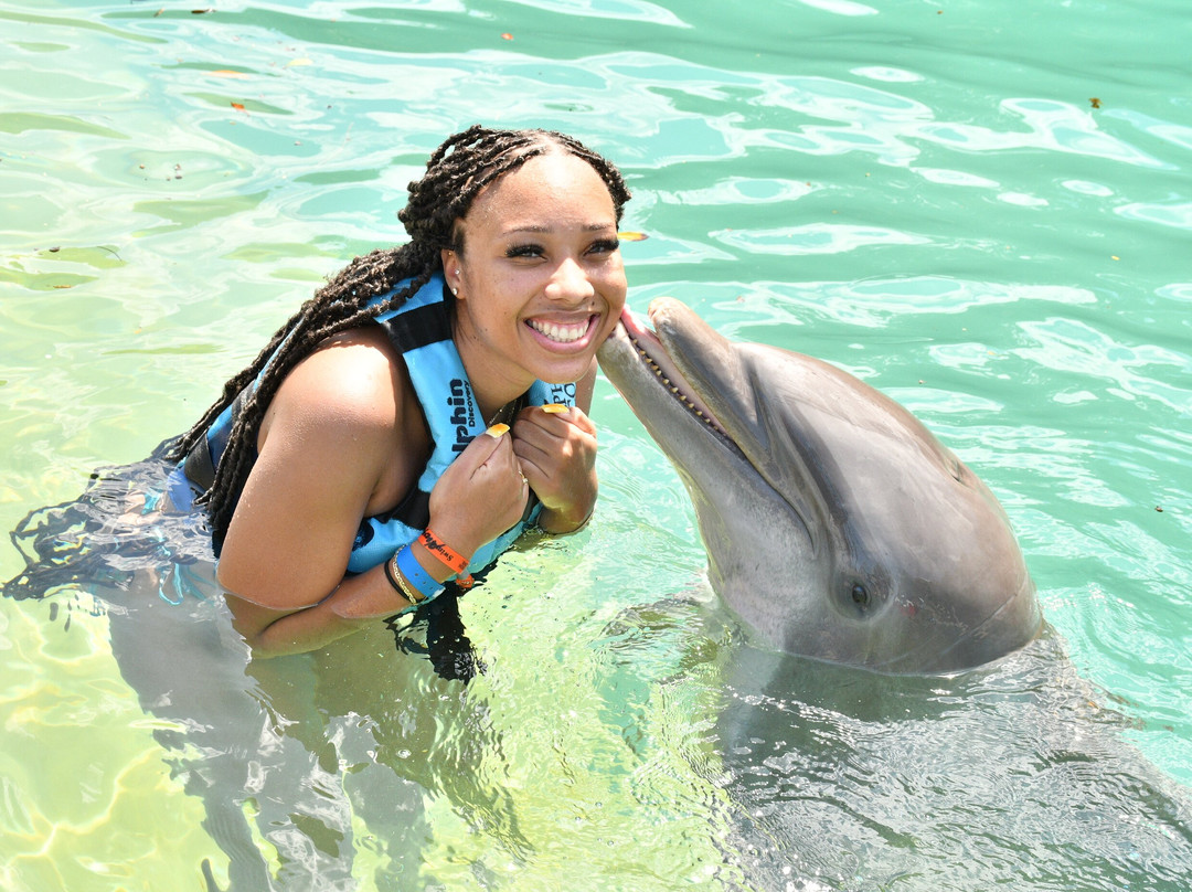 Dolphin Cove Montego Bay-Lucea必去景点