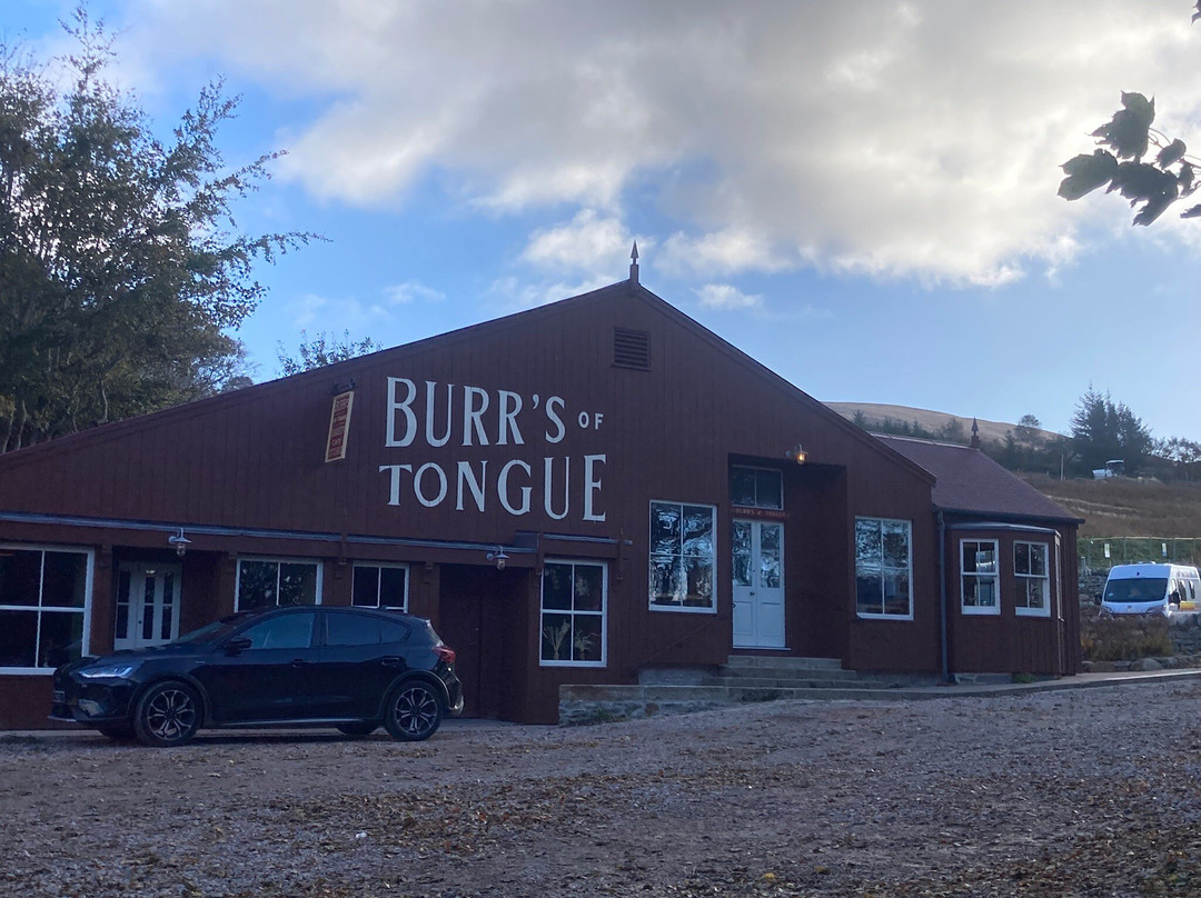 Burr's of Tongue