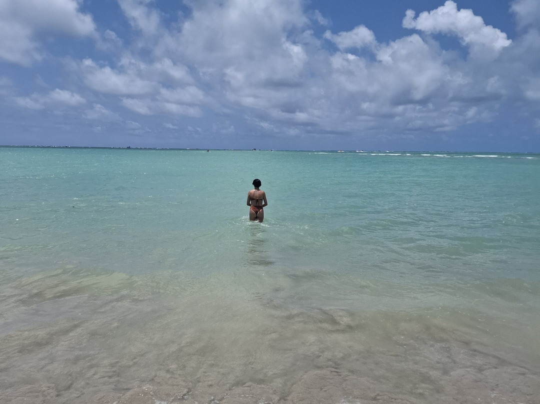 Caribe Maragogi-Maragogi必去景点