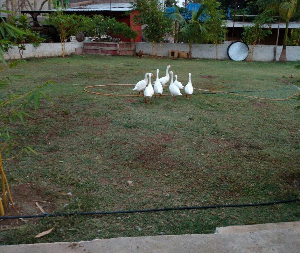 Tadoba Tiger Valley Resort主图