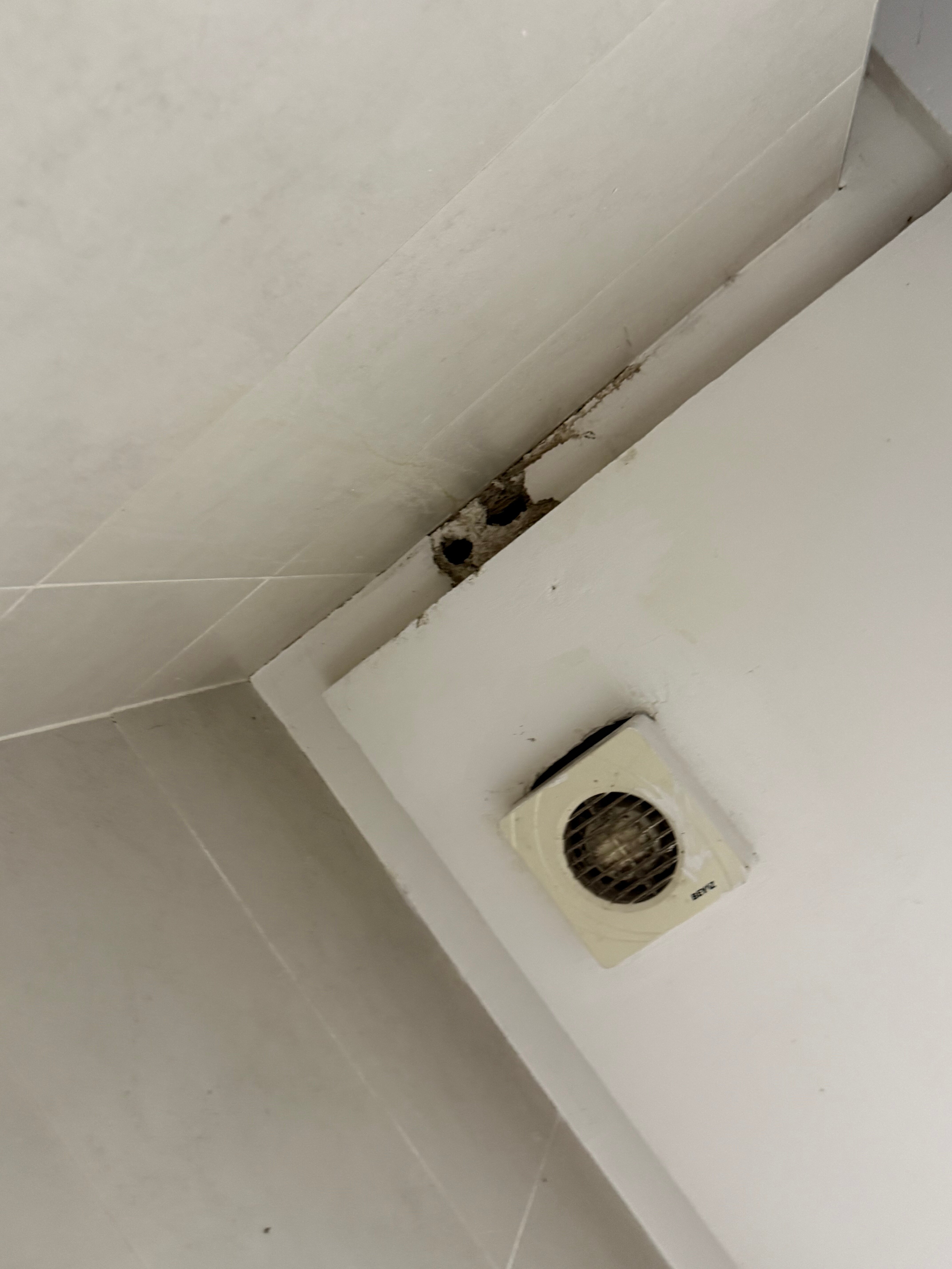 Hotel Arena Fes-官方