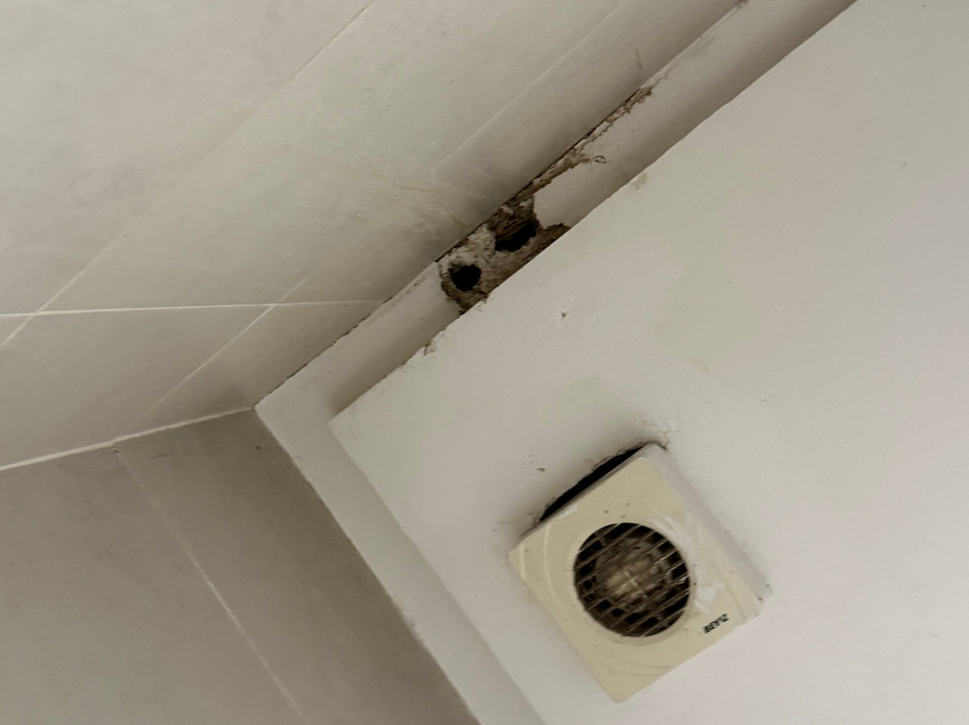 Hotel Arena Fes主图