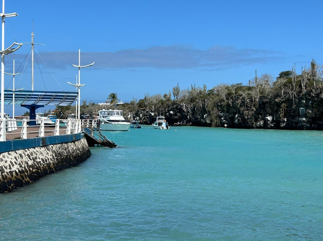Malecon de Puerto Ayora-阿约拉港必去景点