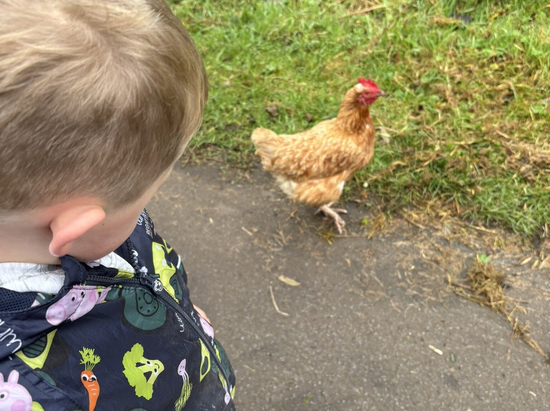 Craigbank Farm-Kilmarnock必去景点