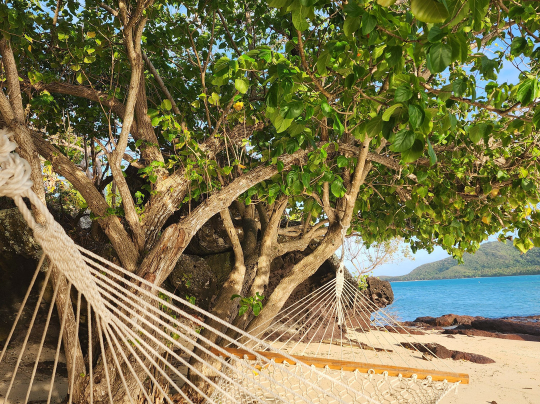 纳福图星级度假村主图